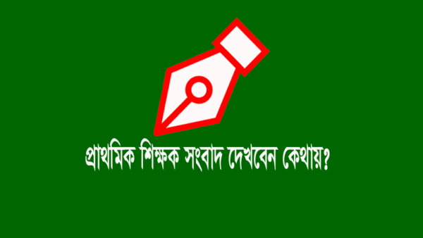 Primary Teacher News BD Update