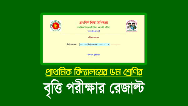 প্রাথমিক বৃত্তি পরীক্ষার ফলাফল প্রকাশ